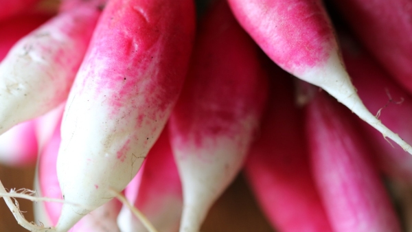 Benefits of Radish