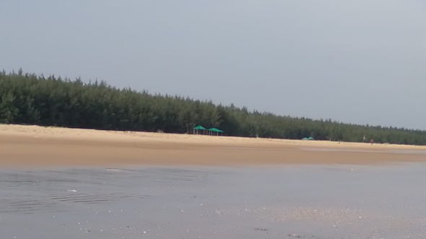 Sea beach
