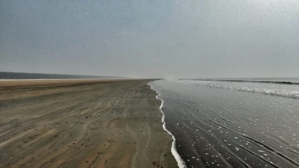 Sea beach