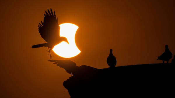 Solar Eclipse 2023