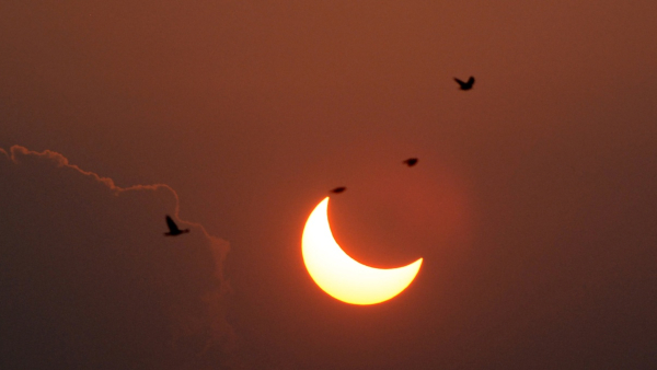 Solar Eclipse 2023
