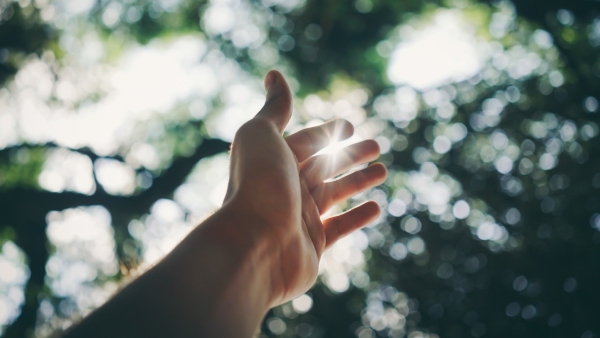 Health Tips Health Tips