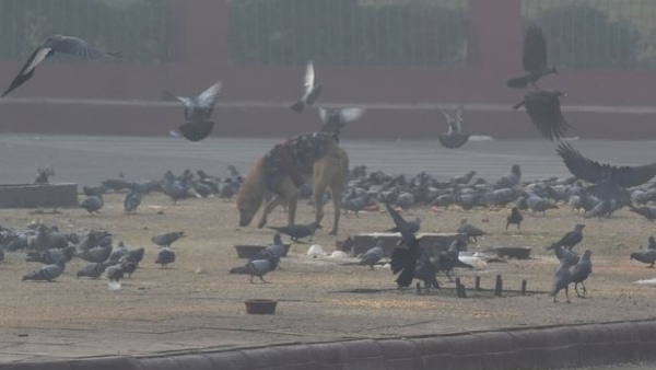 আবহাওয়া