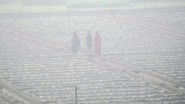 আবহাওয়া আবহাওয়া