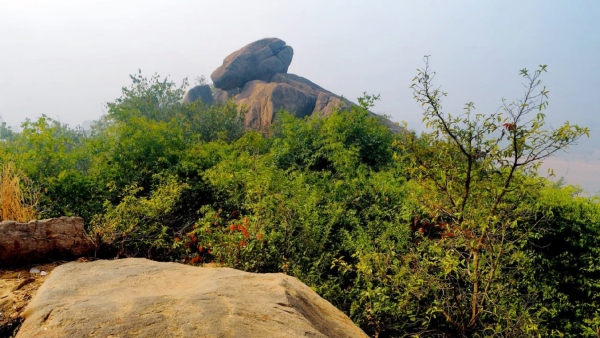 Koro Pahar Koro Pahar