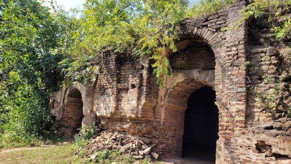 Travel: Kechki Forest