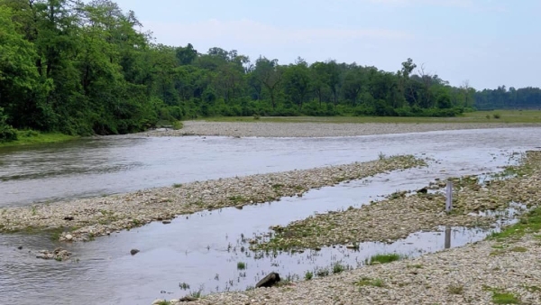 Gorumara National Park
