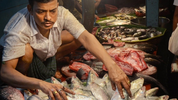 fish market fish market