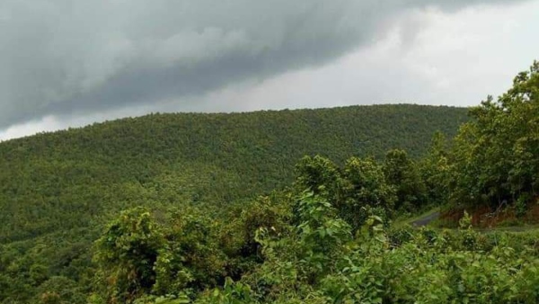  Travel: Palamau Tiger Reserve