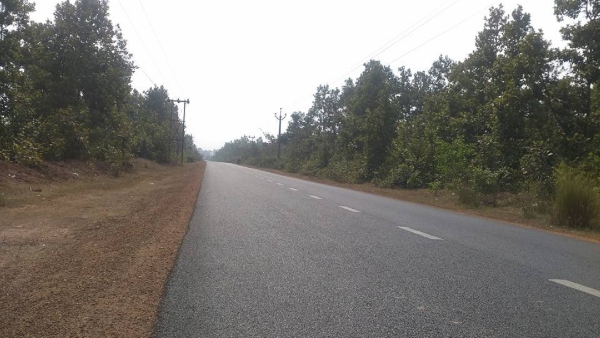 Shalboni Forest Jhargram