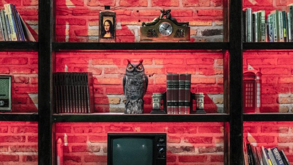 Vastu Tips: owl statue