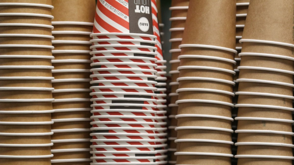 Disposable Paper Cup MakingDisposable Paper Cup Making