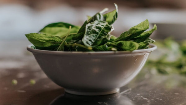 Benefits of Spinach Benefits of Spinach