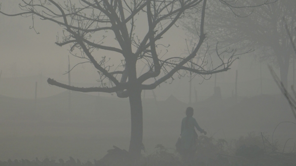 আবহাওয়া আবহাওয়া
