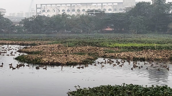 আবহাওয়া