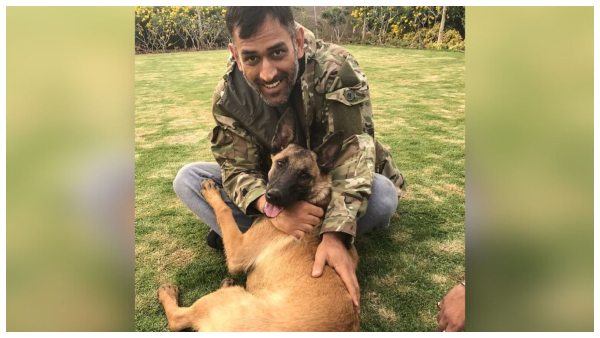 MS Dhoni