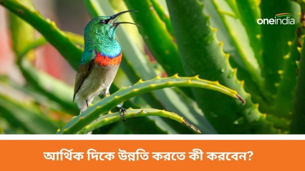 Vastu Tips