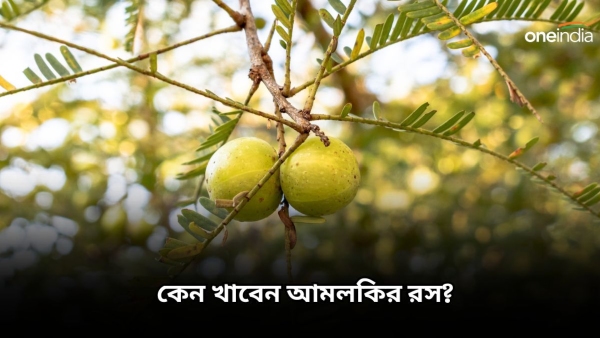 Amla Juice