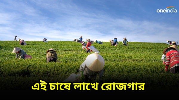 Agri Business Idea