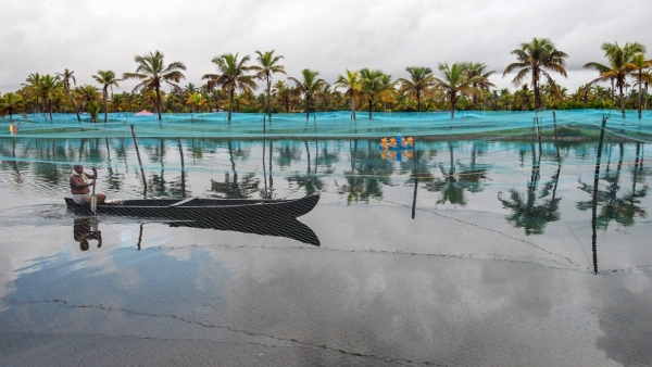 Fish Farming Business