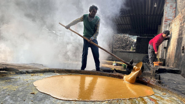 Benefits of Jaggery
