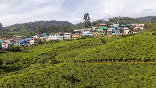 north Bengal north Bengal