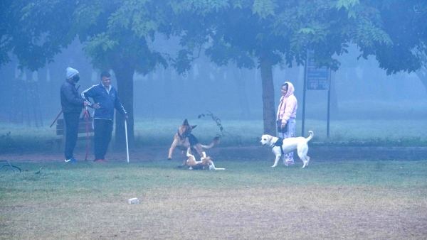 আবহাওয়া