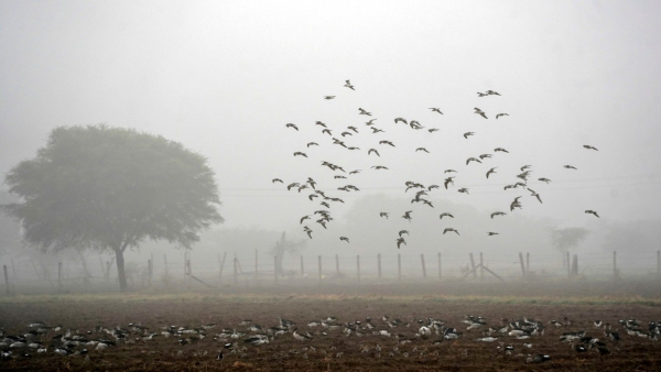 West Bengal Weather West Bengal Weather