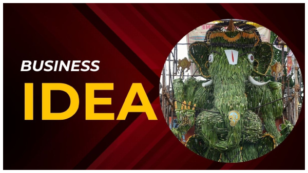 Business idea: Aloe Vera Farming at home