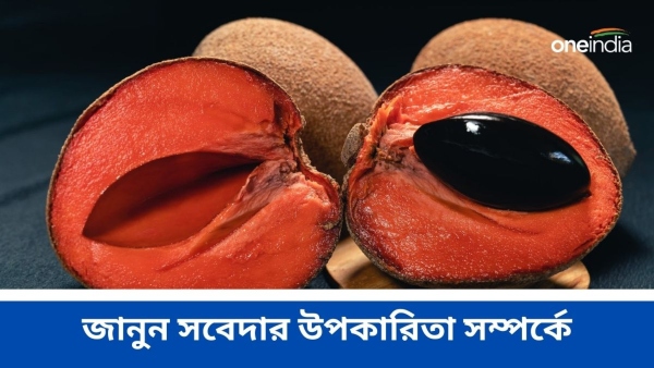 Sapodilla Benefits