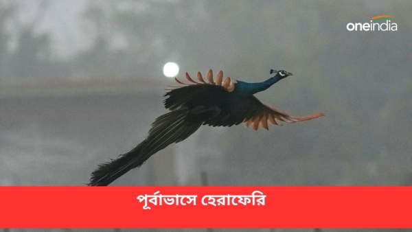 বাংলার জেলাগুলির আবহাওয়ার পূর্বাভাস একনজরে