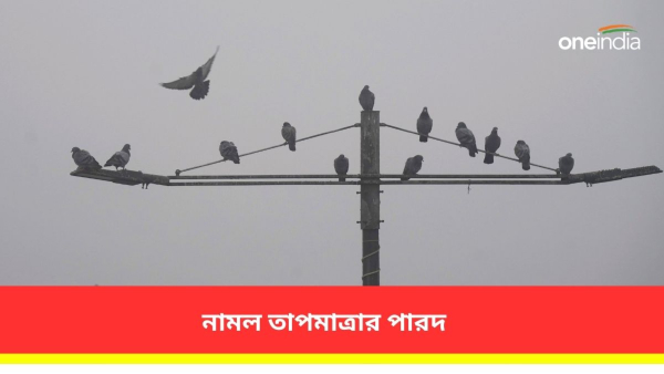  উত্তর ও দক্ষিণবঙ্গের আবহাওয়ার পূর্বাভাস 