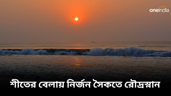 seabeach 