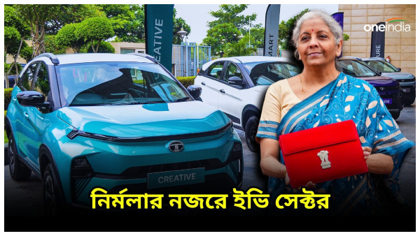 Interim Budget 2024: Nirmala sitharaman Interim Budget 2024: Nirmala sitharaman