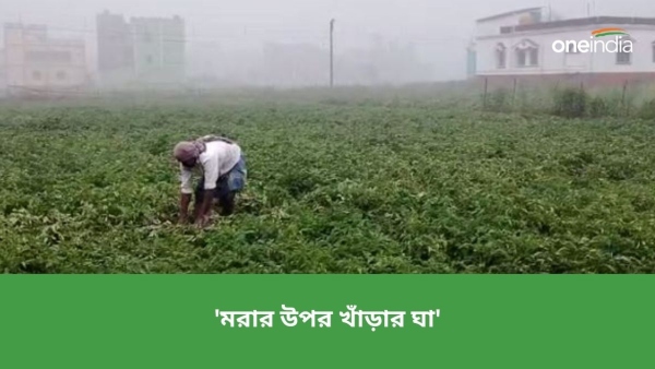 জোড়া ফলায় বিদ্ধ বাঁকুড়ার আলু চাষীরা জোড়া ফলায় বিদ্ধ বাঁকুড়ার আলু চাষীরা