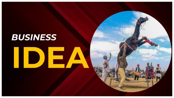 camel, donkey and horse breeding business camel, donkey and horse breeding business