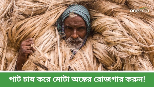 Jute Farming Business in india