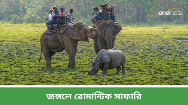 Kaziranga National Park
