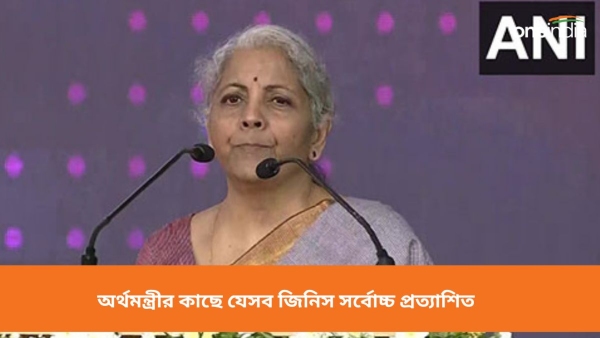 Union Budget 2024: নির্মলা সীতারমন Union Budget 2024: নির্মলা সীতারমন