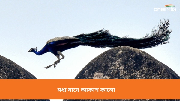 আবহাওয়া আবহাওয়া