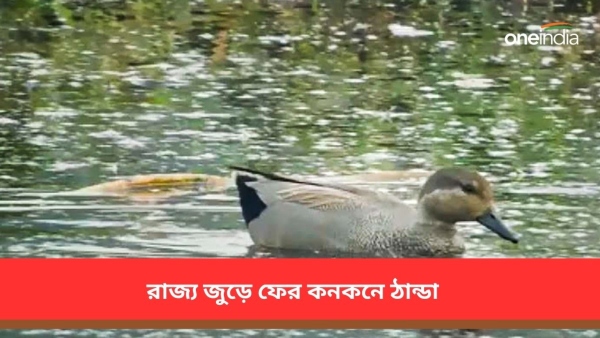 আবহাওয়া