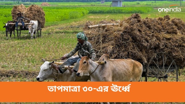 আবহাওয়া আবহাওয়া