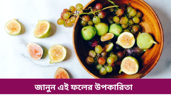 FIG FIG