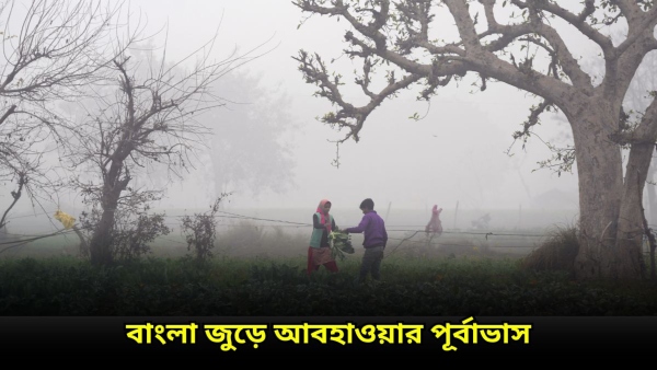 Weather Alert Weather Alert