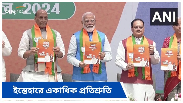 Bjp Manifesto PDF