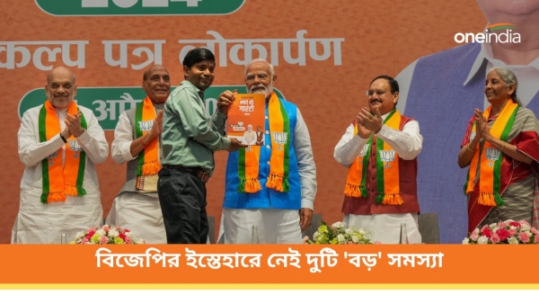 bjp manifesto