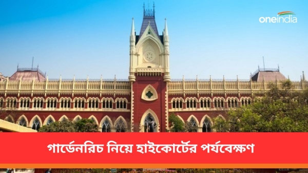 high court high court