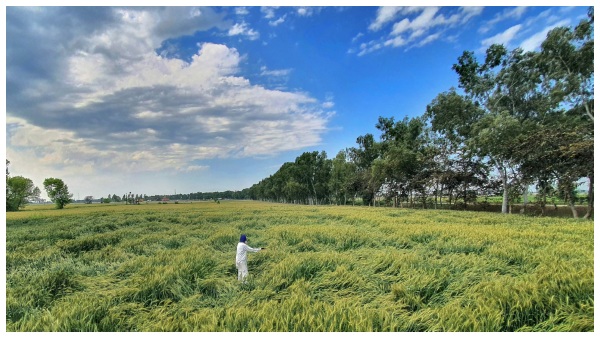 Village Business Ideas