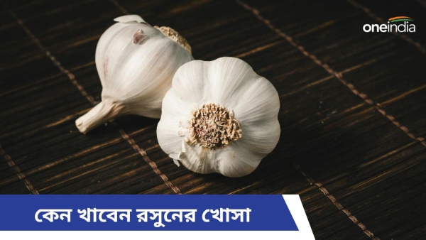 garlic