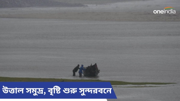 sundarbans sundarbans